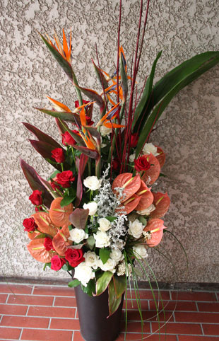 ����������