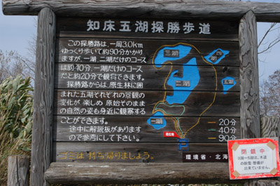 案内