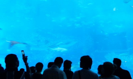 0296061a.jpg