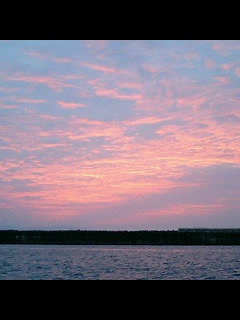 06f38914.jpg
