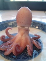ユデタコ