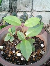 2ba47d59.jpg