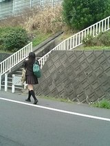 8f238b7d.jpg