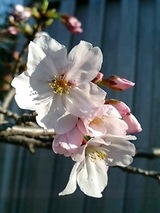 9305d66d.jpg