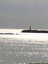 950a7174.jpg