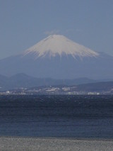 9a3851e4.jpg