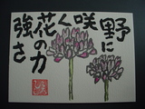 bda02758.jpg