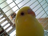 はじめまして♪