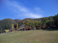 日吉