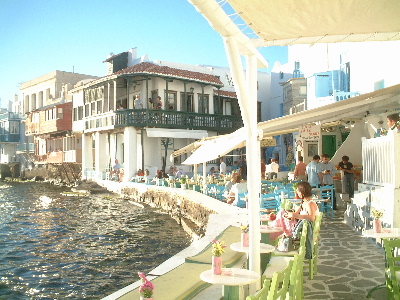 mikrovenice2