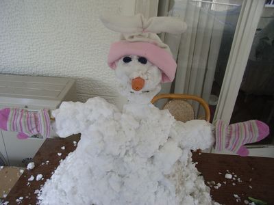 snow2