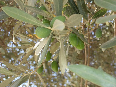 RIMG0157