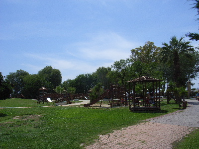 alimospark2