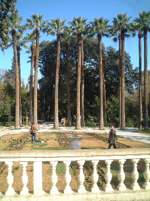 garden1
