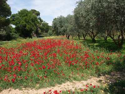 DSCF1472