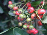 95