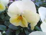 020204
