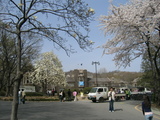 hana