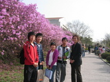 hana4