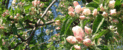 ２００９年４月－２