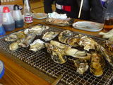da884f03.JPG