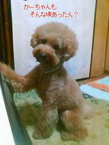 588c67d8.jpg