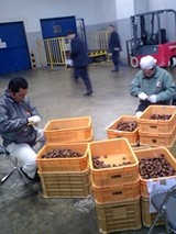 897b31f2.jpg