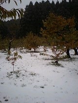 993a6d3f.jpg