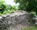 07846230.jpg