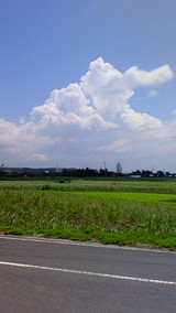 08df7963.jpg