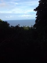 1047316d.jpg