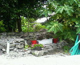 1329b998.jpg