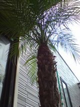 1f9ca086.jpg