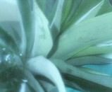 2f78154d.jpg