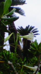 45a472c0.jpg