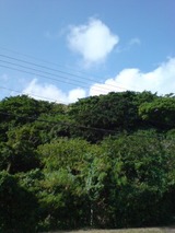 4b97bd6d.jpg