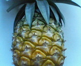 503609e8.jpg