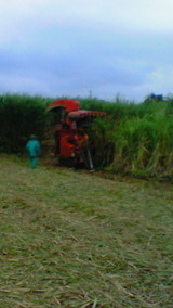 5fd71706.jpg