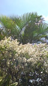 7f54e2f5.jpg