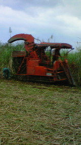 a7760abc.jpg