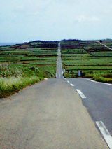 d1371923.jpg