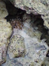 e89627b5.jpg
