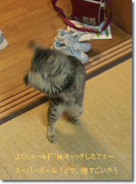 キャッチ