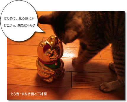 まねき猫と会話中