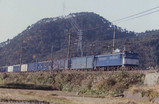 20d0b411.jpg