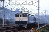 23e2348e.jpg