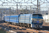 252a75e7.jpg