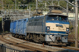 597bfc6d.jpg