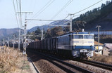 a1572e9f.jpg