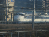 beba3216.jpg